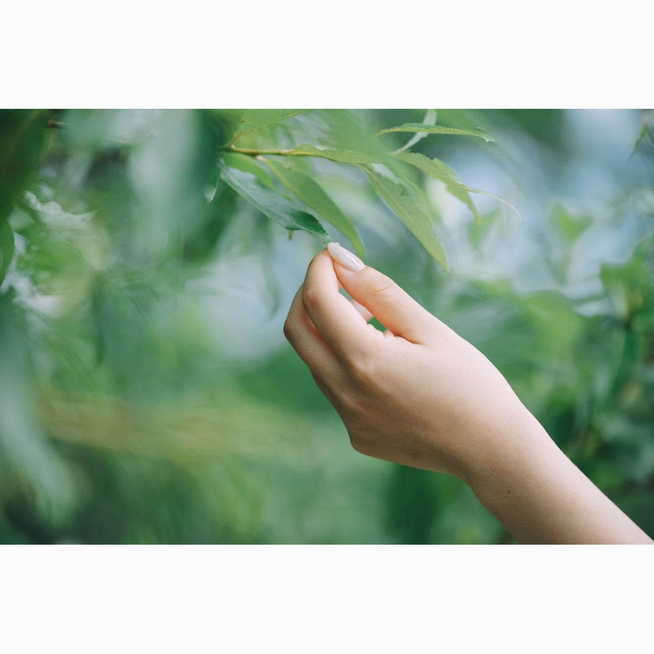 35-150mm F/2-2.8 Di III VXD ニコンZ用 A058Z - 公式通販