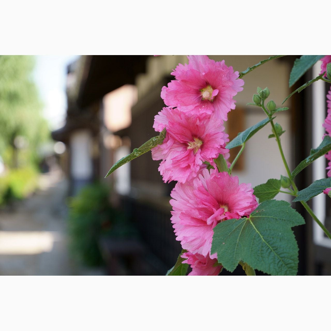 28-200mm F/2.8-5.6 Di III RXD ソニーE用 A071SF - 公式通販